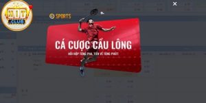 K Thể Thao Là Gì Và Vì Sao Được Nhiều Người Quan Tâm